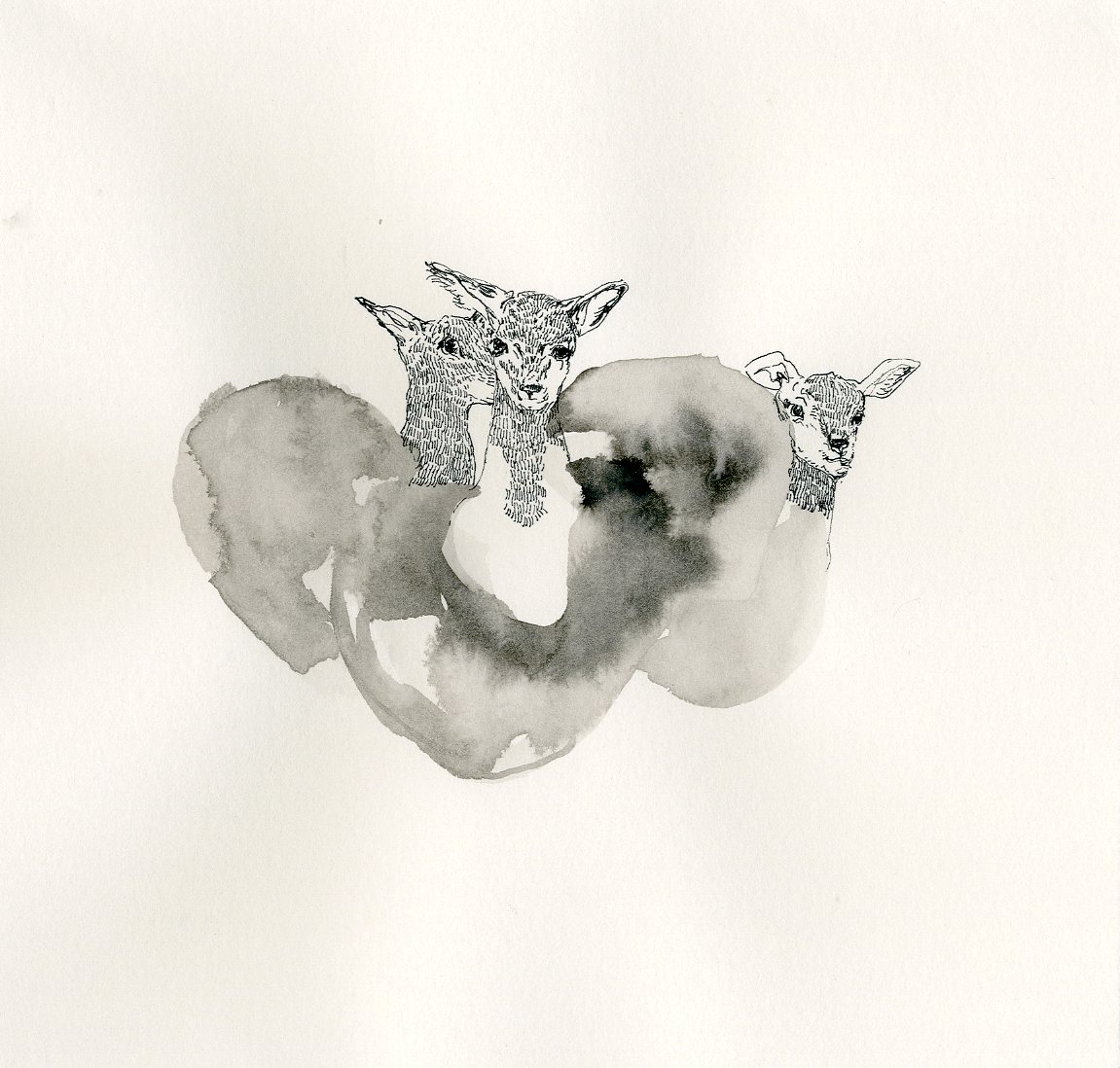 illustration 07