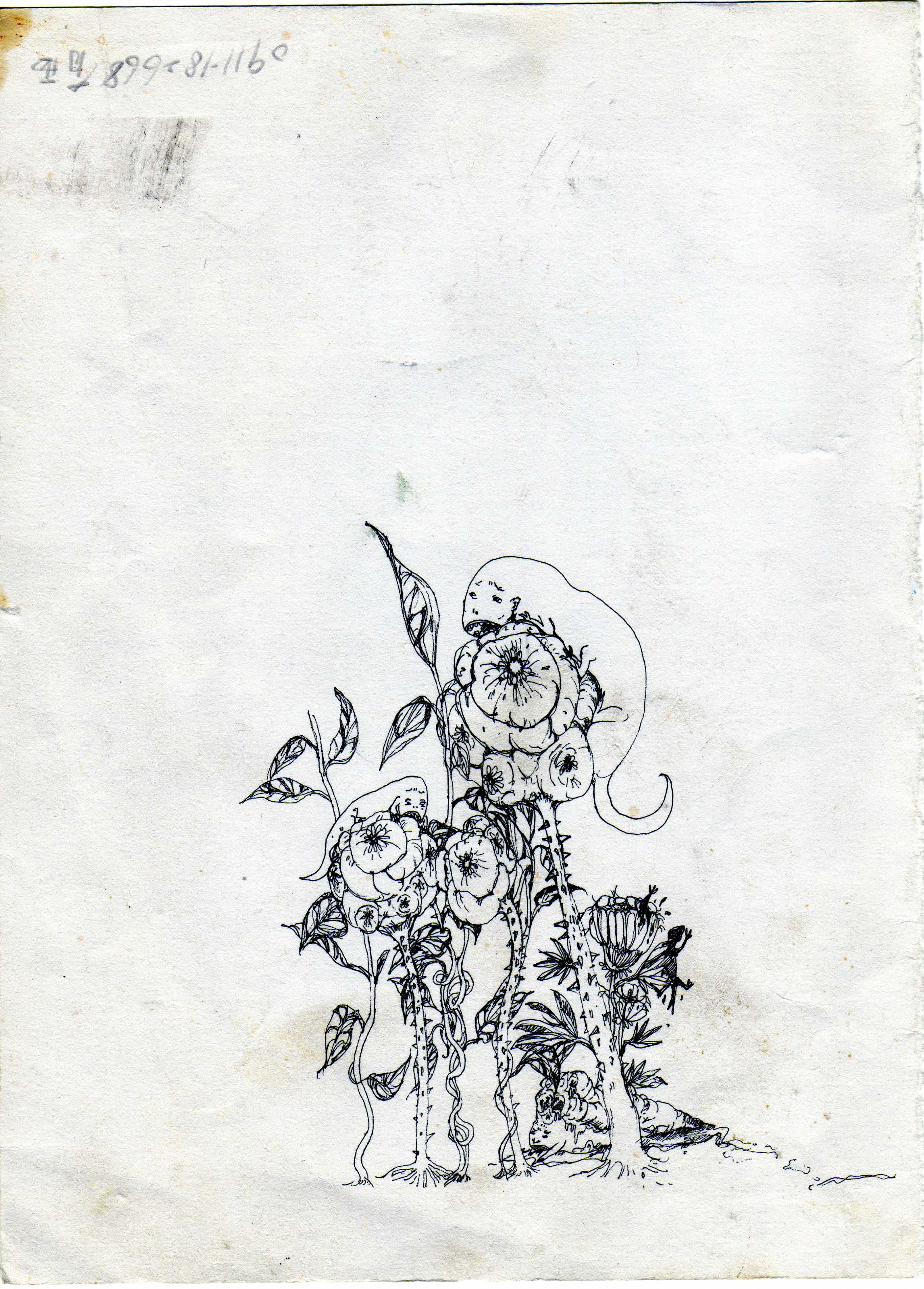illustration 08