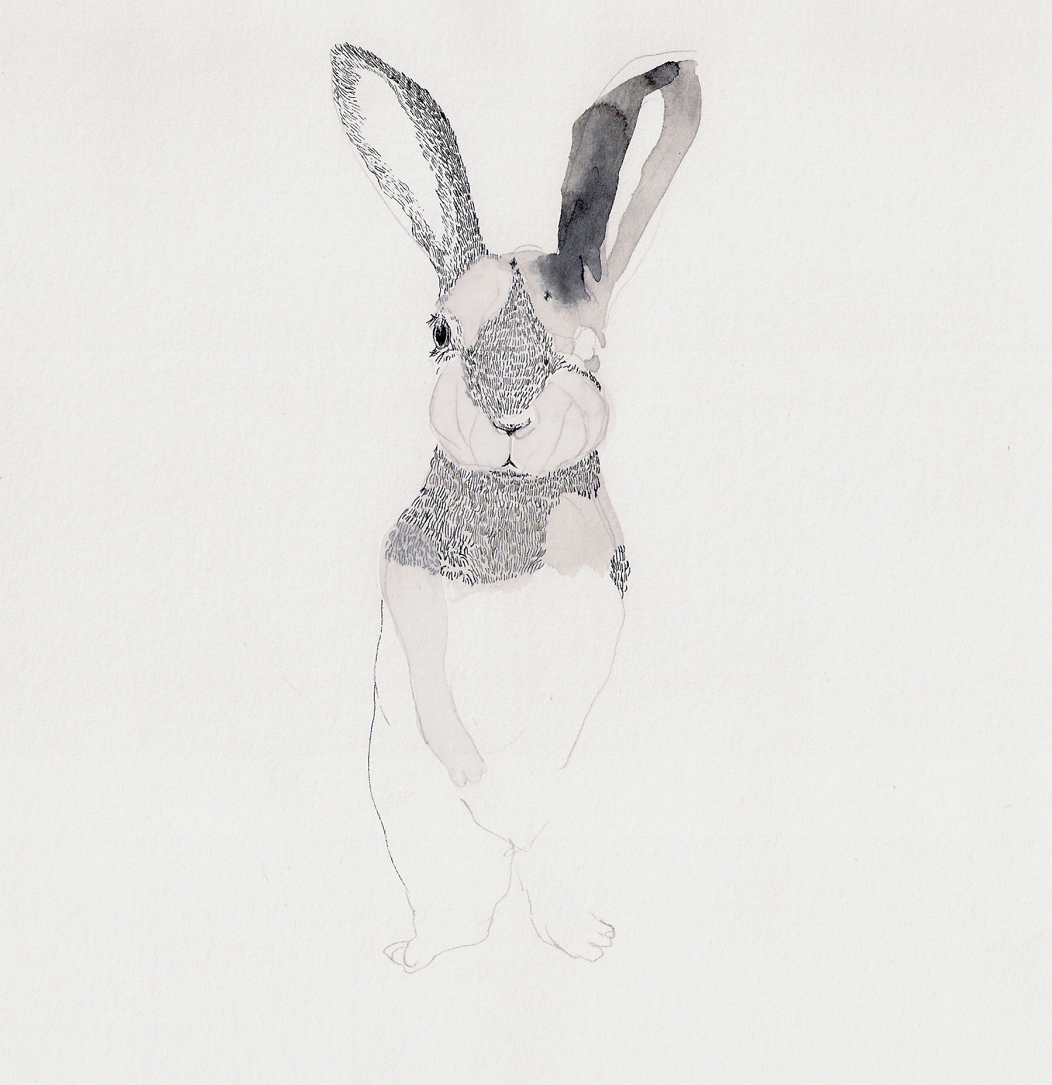 illustration 10