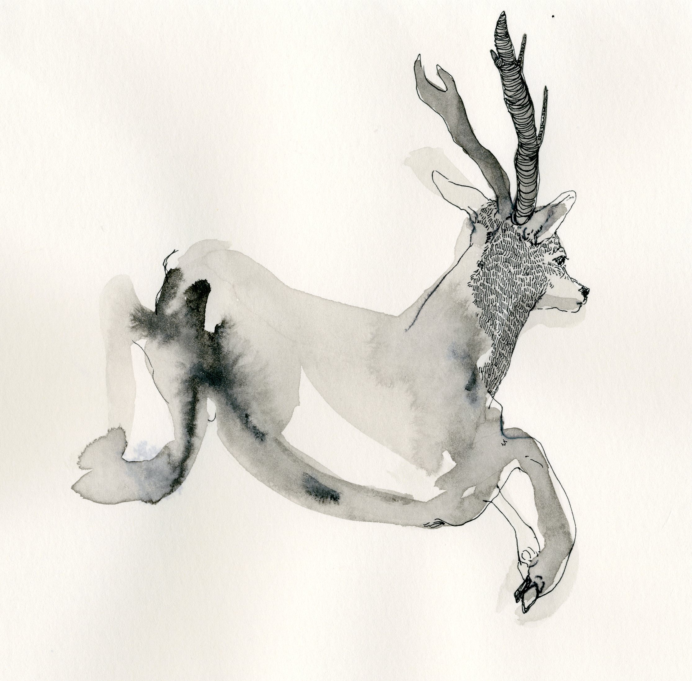 illustration 13